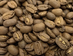 Кава в зернах Nicaragua Maragodzype 250 г